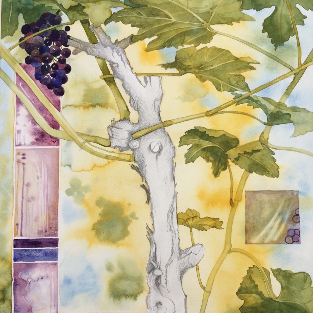 Der Weinstock