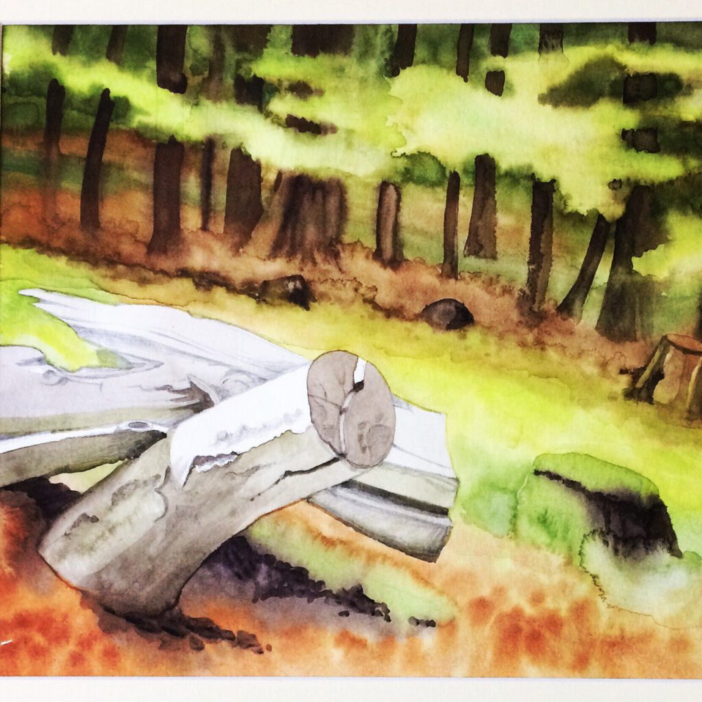 Firewood