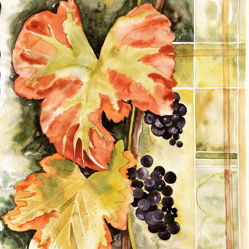 Herbstliches Weinblatt