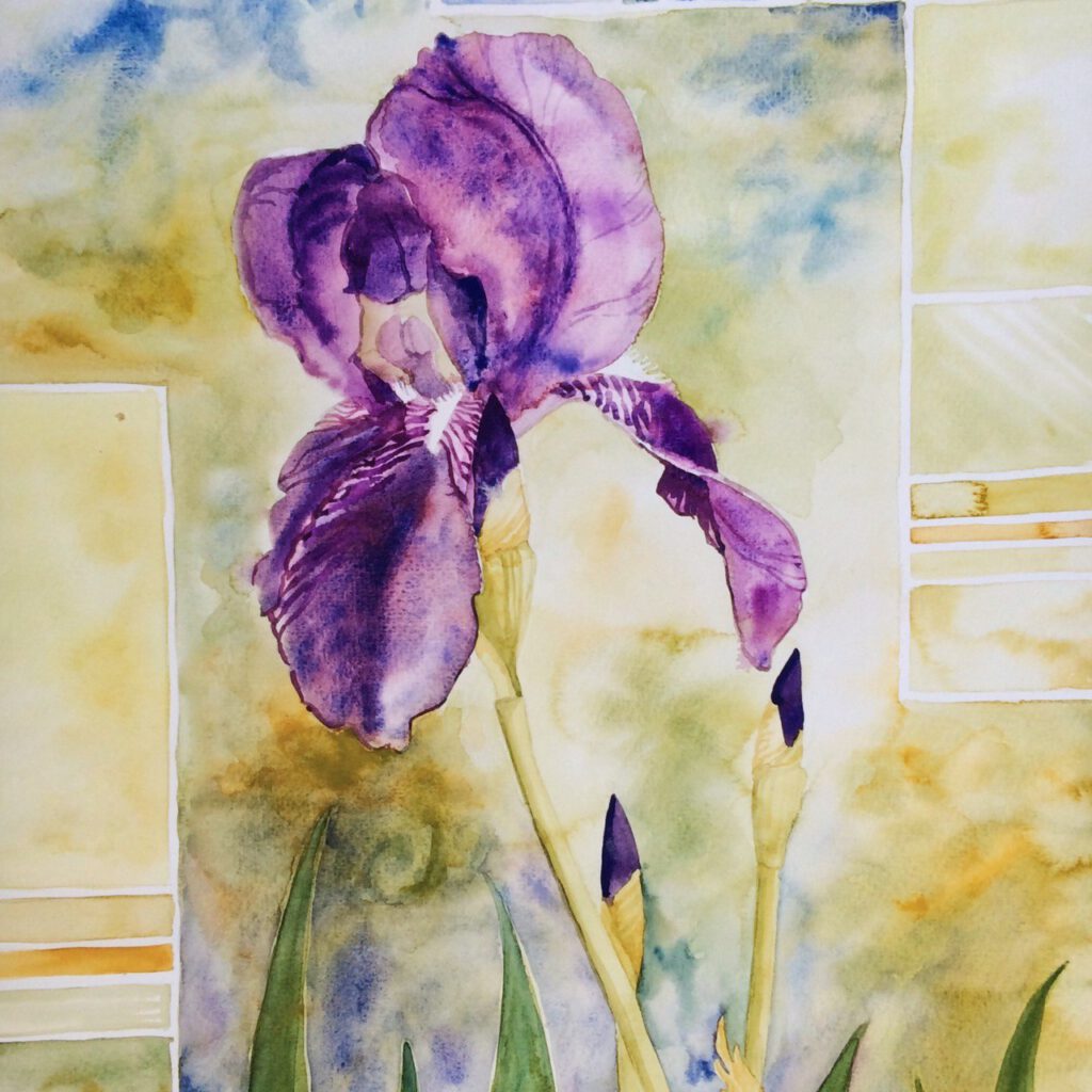 Iris