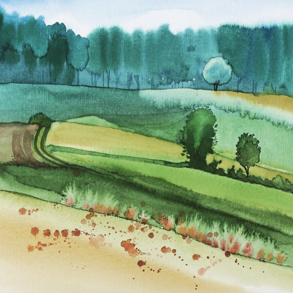 Mohn im Land 2