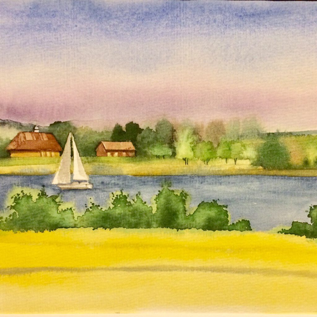 Raps an der Schlei