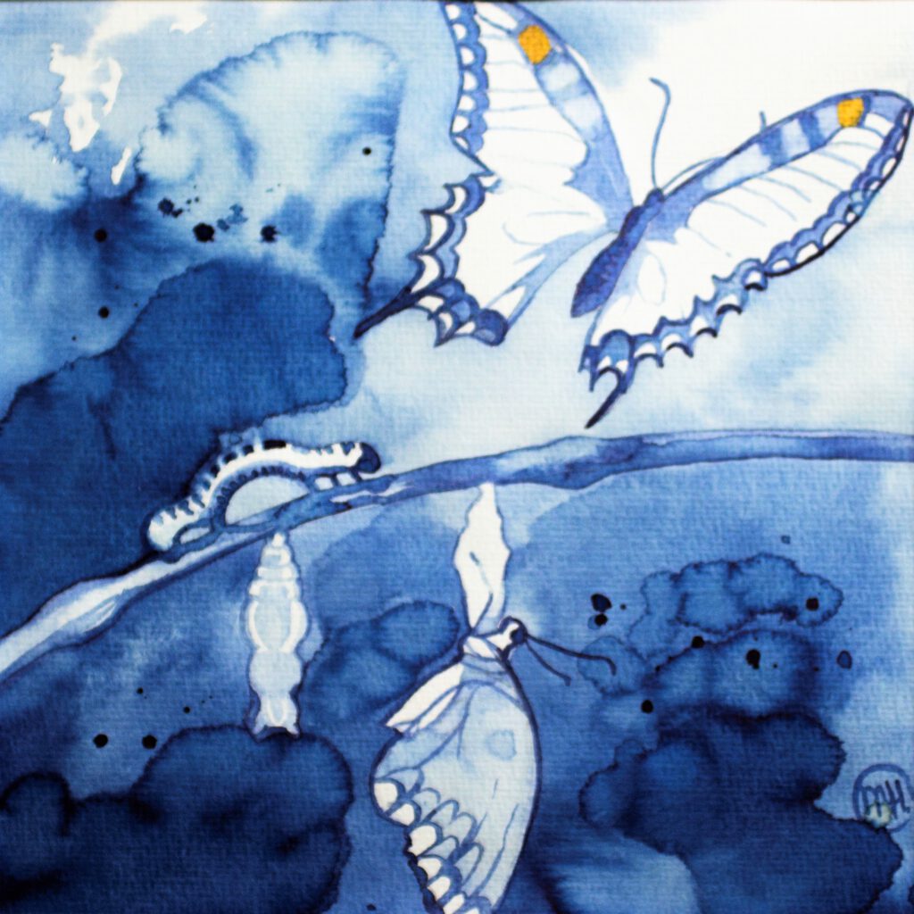 Der Schmetterling