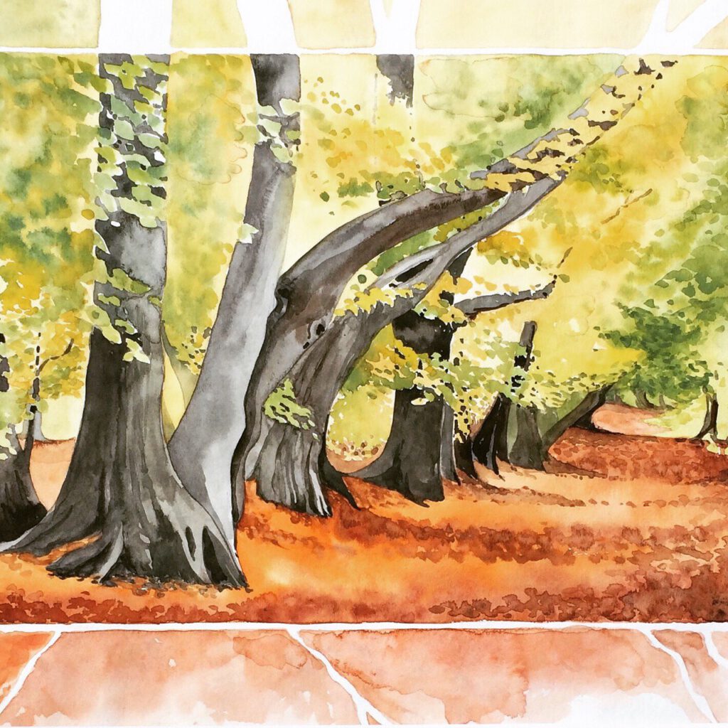 Waldweg