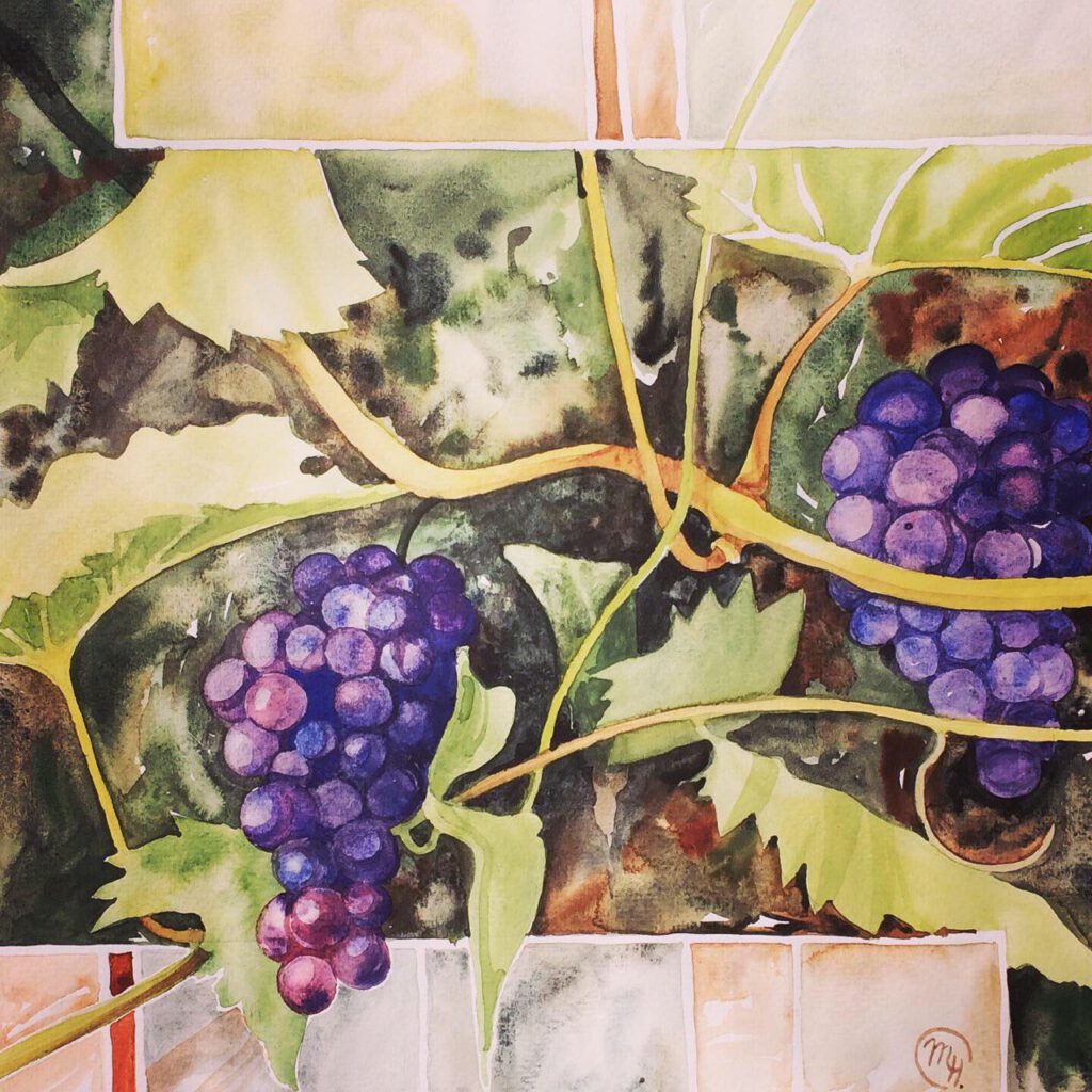 Weinrebe